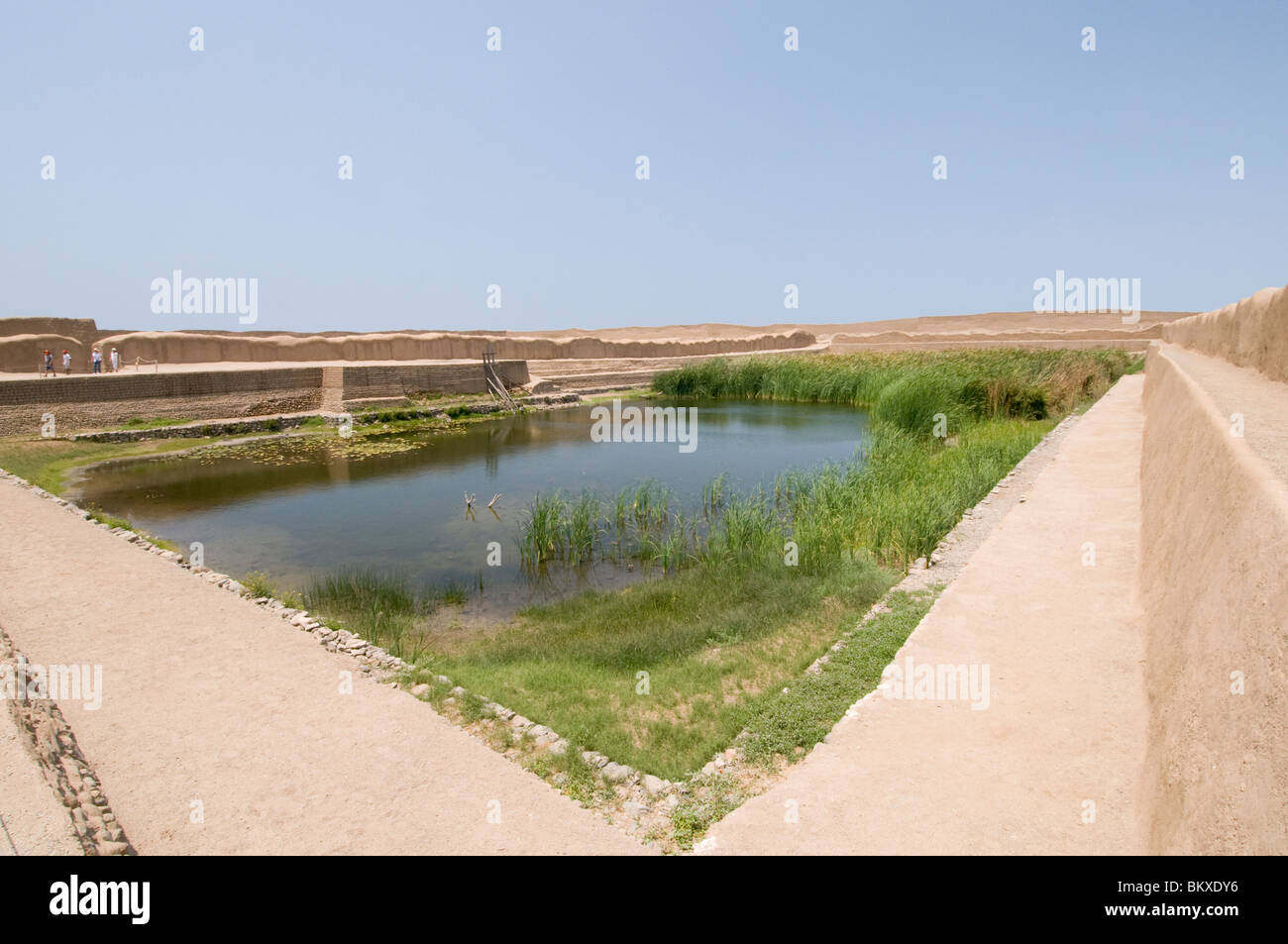 Natürlich auch bei Chan Chan, der alten Hauptstadt des Imperiums Chimu, Peru Stockfoto