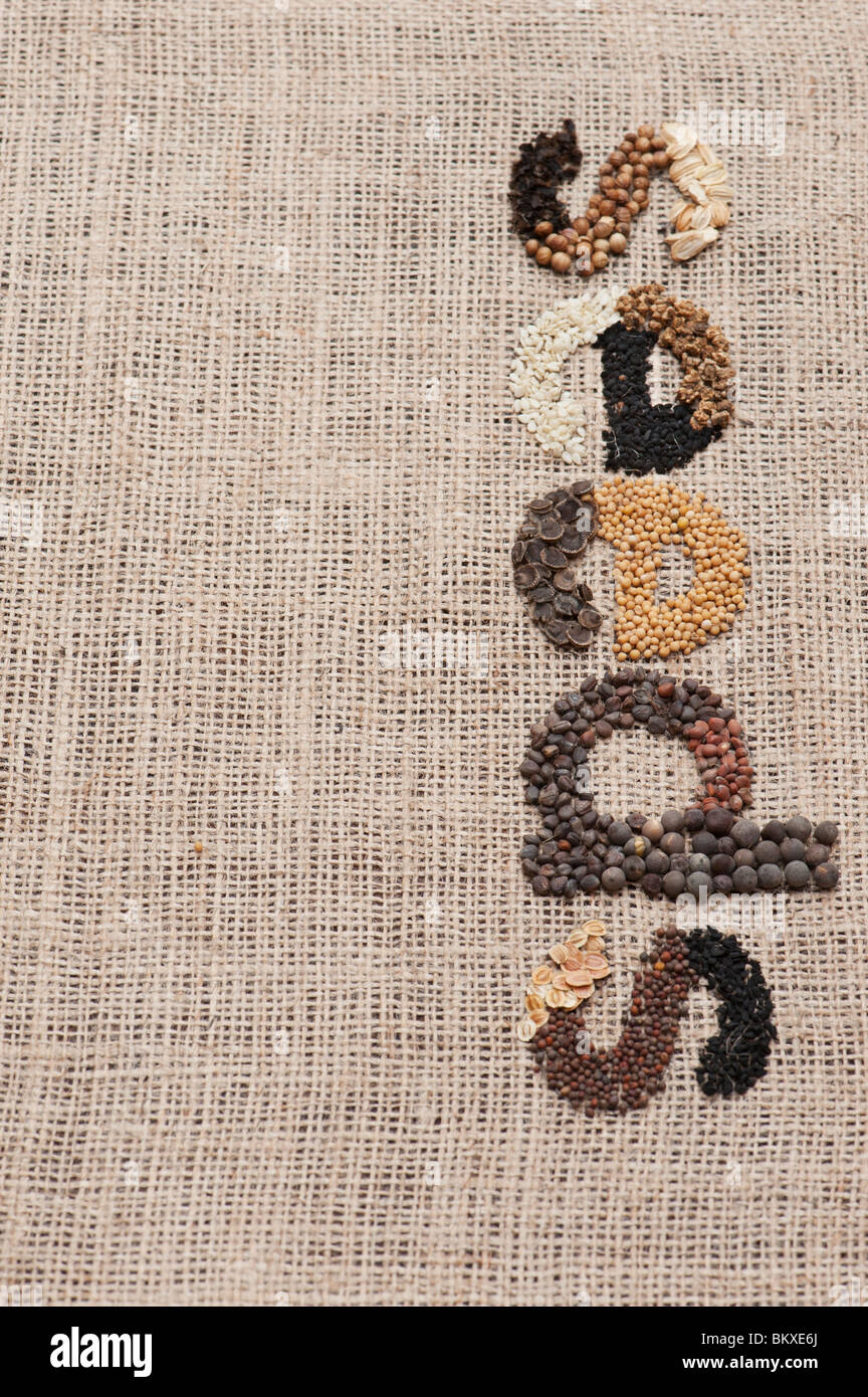 Das Wort 'Samen' ausgeschrieben mit Gemüse- und Blumensamen auf hessisch Stockfoto
