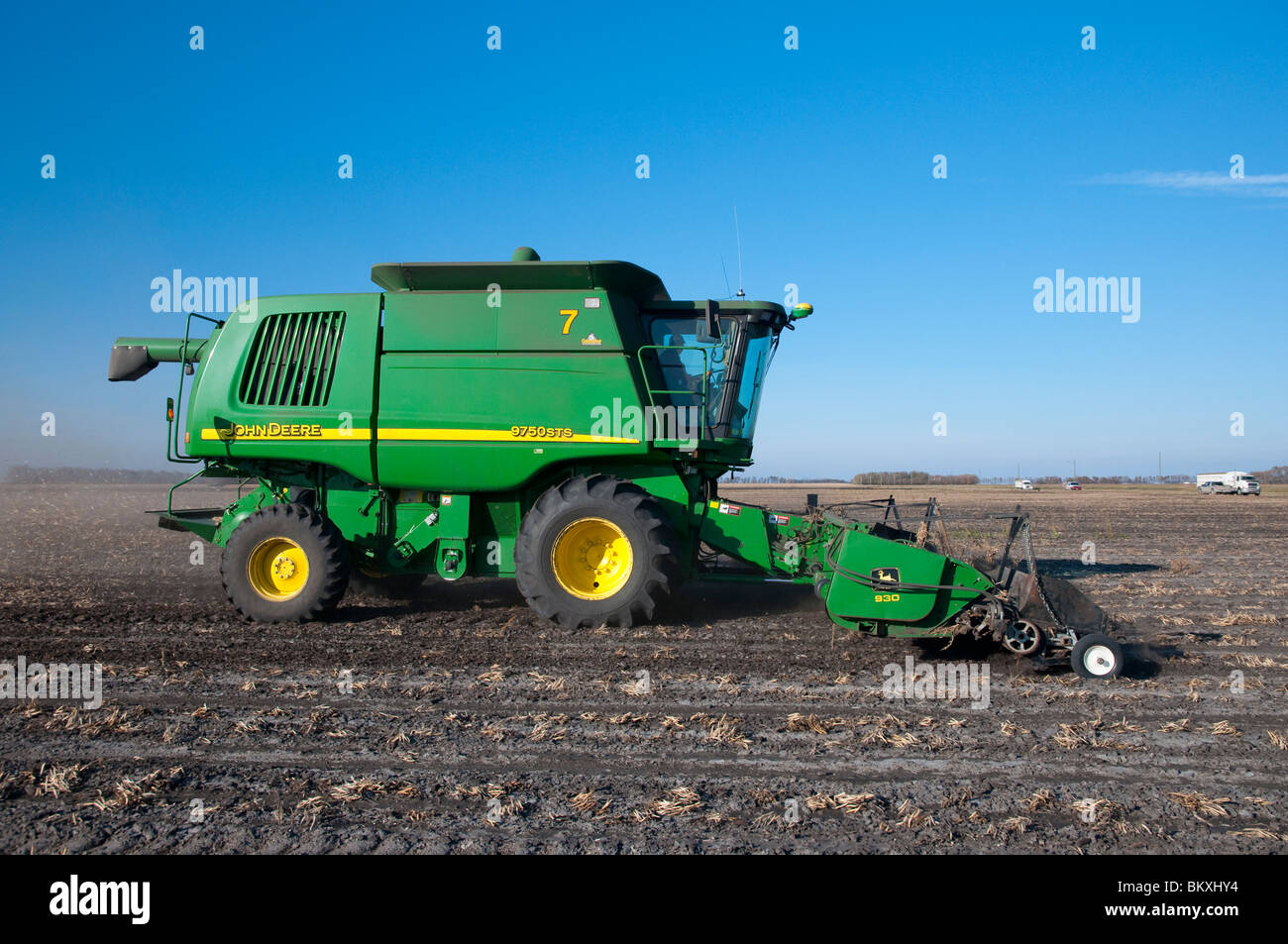 Essbaren Bohnen Ernte auf dem Froese-Bauernhof in der Nähe von Winkler, Manitoba, Kanada. Stockfoto