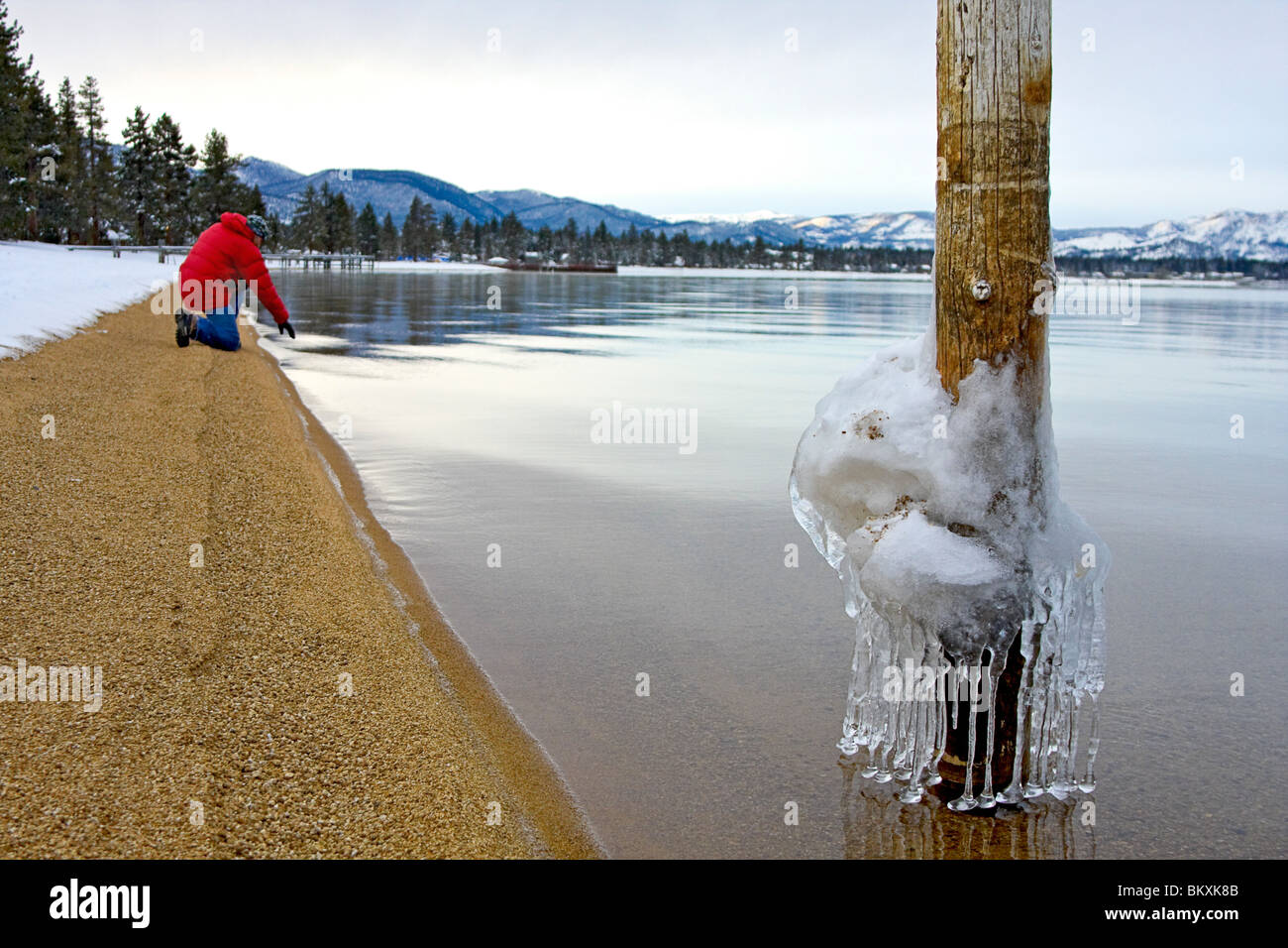 Man greift nach Wasser hinter Ansicht von Eiszapfen tropft von der Pole Position im seichten Wasser des Lake Tahoe in der Morgendämmerung Stockfoto