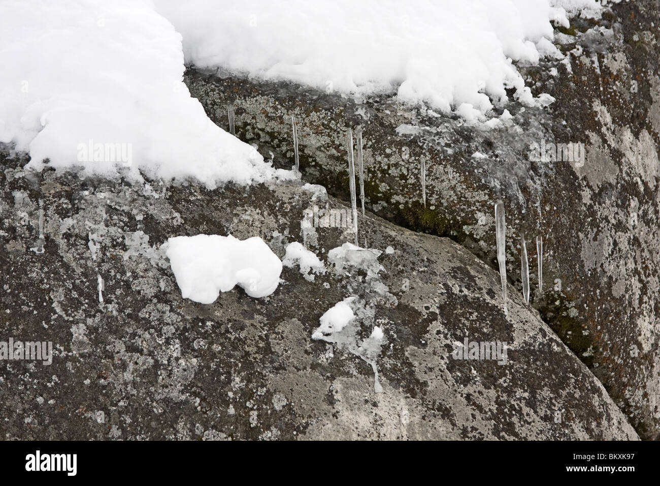 Eiszapfen tropft aus Felsen, South Lake Tahoe, Nevada, USA Stockfoto