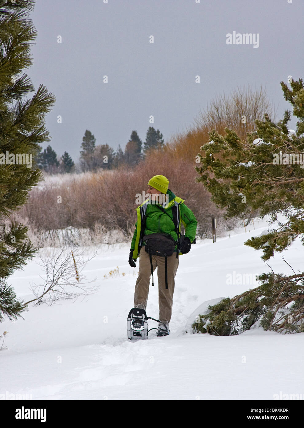 Frau auf Schneeschuh-Wanderung bei stürmischen Wintertag. South Lake Tahoe, Kalifornien, USA Stockfoto