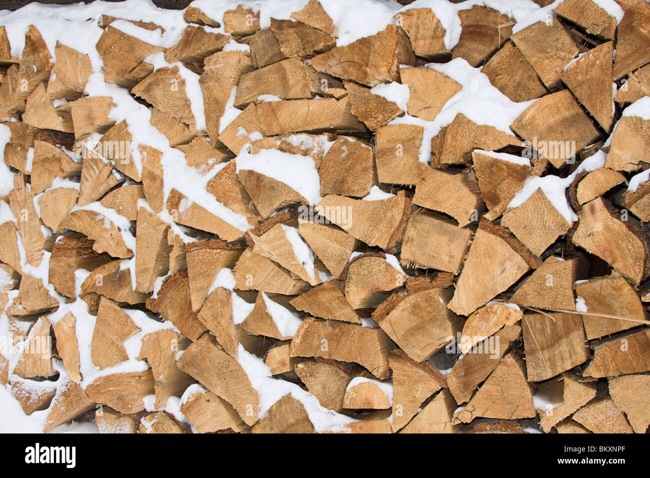 Geschlagenes Holz gestapelt und teilweise im Winter mit Schnee bedeckt. USA. Stockfoto