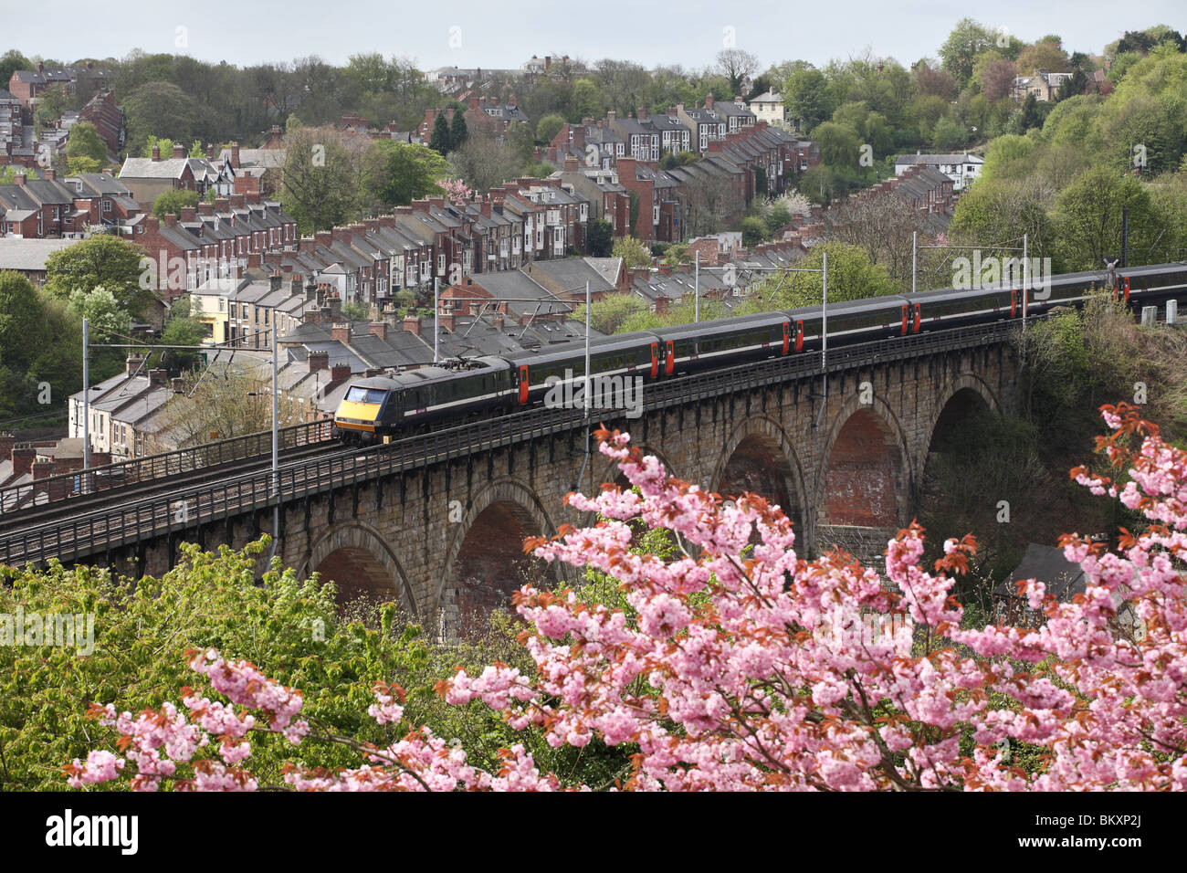 East Coast Express Elektrischer Bahnübergang der Eisenbahnviadukt bei Durham, England, Großbritannien Stockfoto