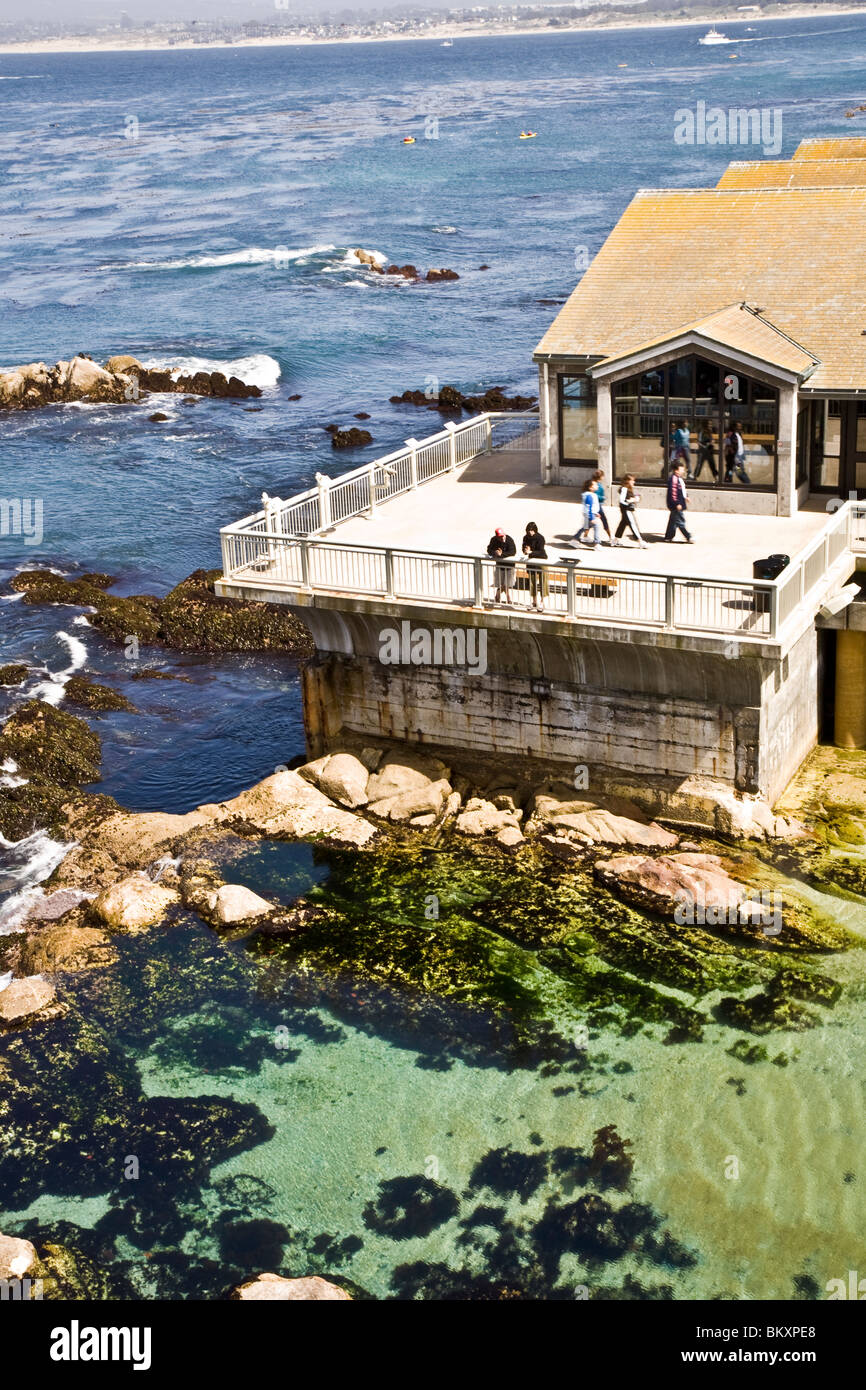 Monterey Bay Aquarium ist Heimat von mehr als 30.000 Meeresbewohner Vögel Säugetiere und Pflanzen Stockfoto