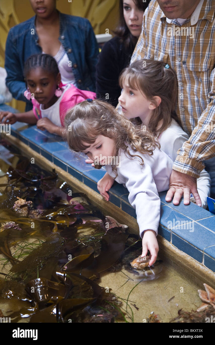 Kinder greifen auf Erfahrungen bei Welt berühmte Monterey Bay Aquarium beherbergt mehr als 30.000 Seevögel Säugetiere und Pflanzen Stockfoto