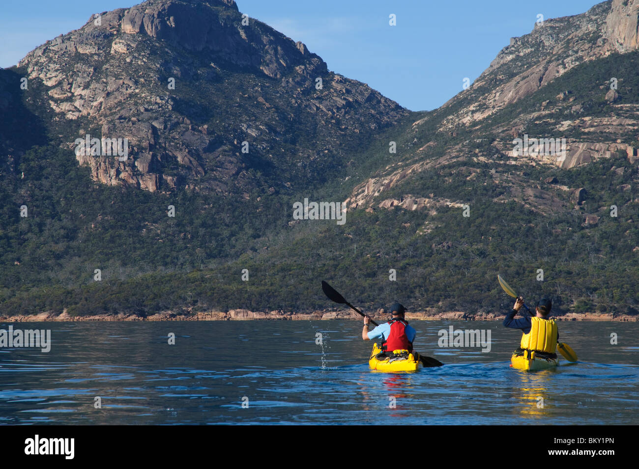 Meer Kajakfahrer an einem ruhigen Morgen in Coles Bay, Freycinet National Park, Tasmanien, Australien. Stockfoto