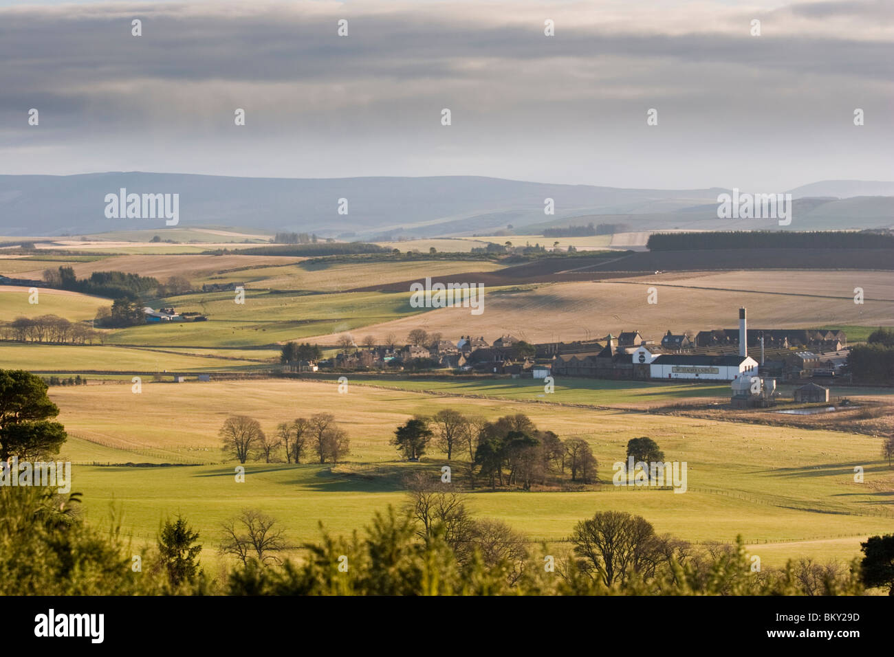 Ardmore Scotch Malt Whisky-Destillerie, Kennethmont, Aberdeenshire, Schottland Stockfoto