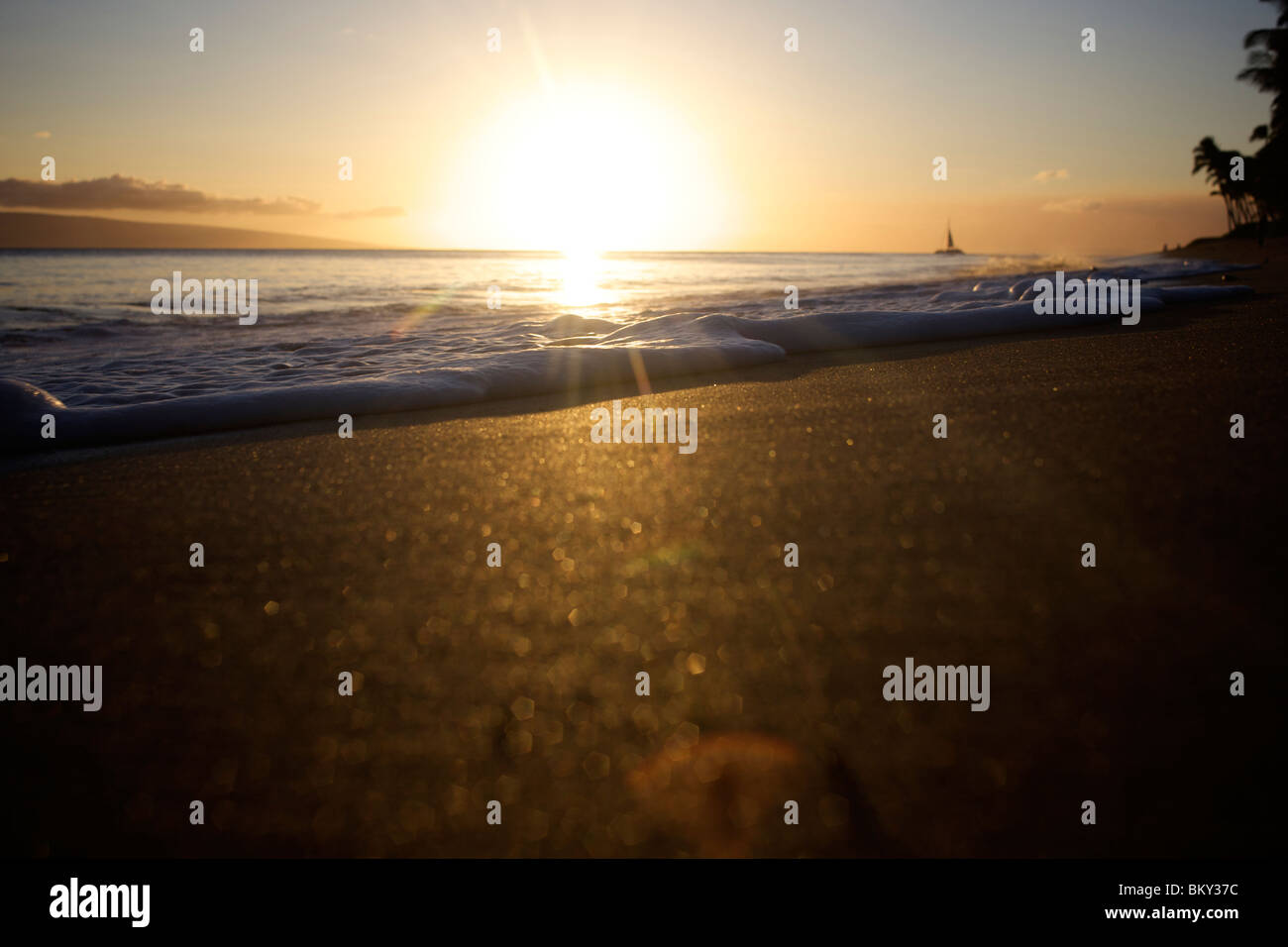 Niedrigen Winkel Blick auf einen Strand bei Sonnenuntergang beleuchtet den Schaum einer Welle kommen in den Sand, während im Hintergrund ein Boot vorbei. Stockfoto