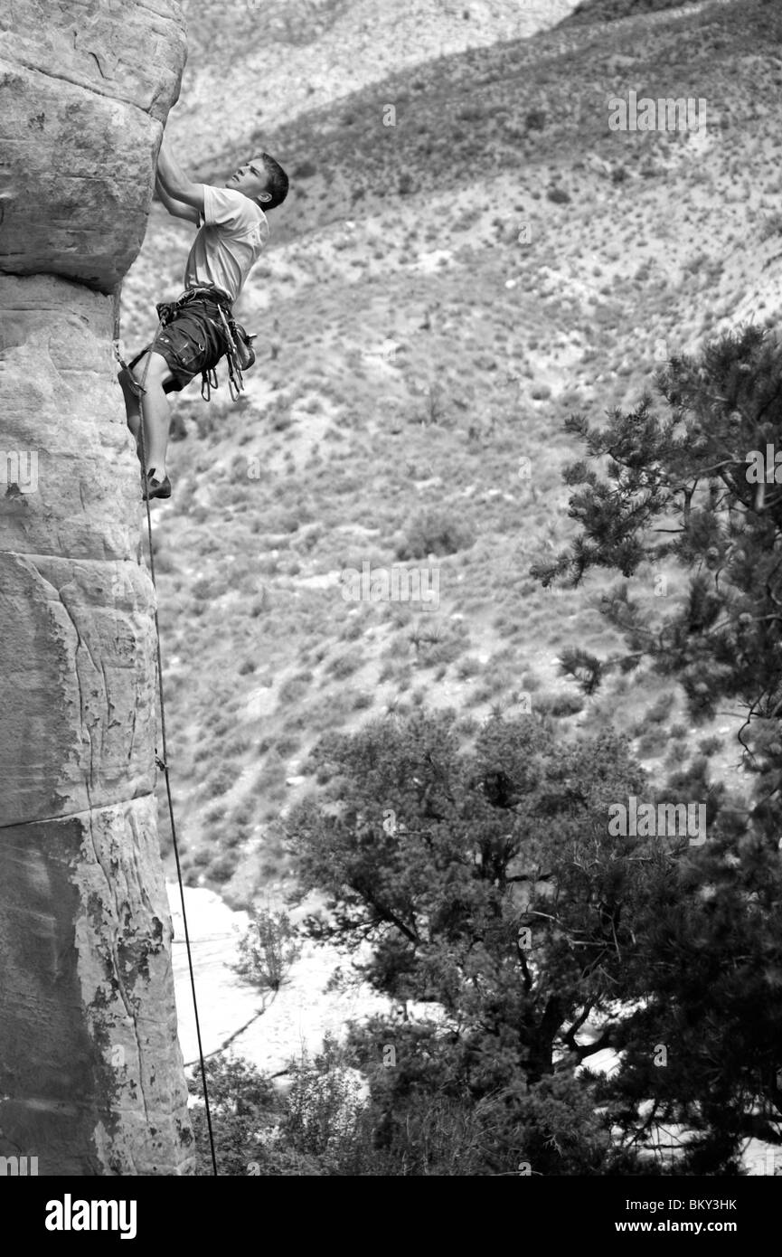 Ein Kletterer steigt eine rote Felswand in Nevada. Stockfoto