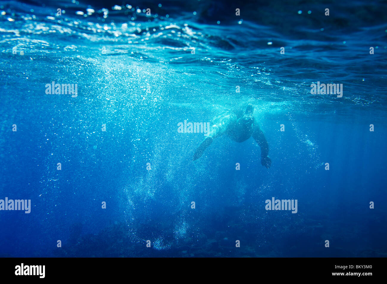 Unterwasser-Blick von einem Schwimmer genießen Sie ein entspannendes Bad in den tropischen Gewässern von Mana Island, Fidschi. Stockfoto