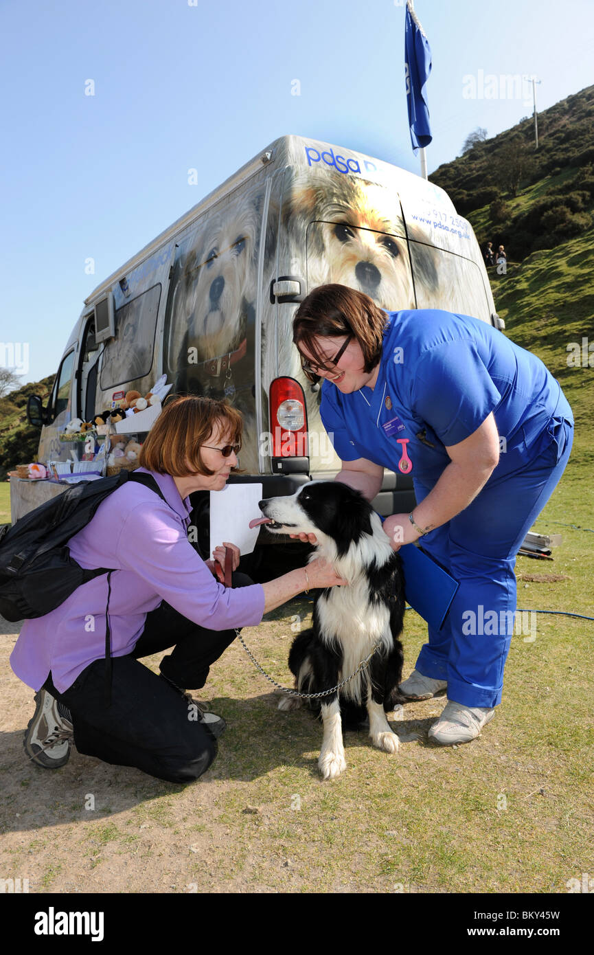 PDSA Tierarzt Krankenschwester gibt kostenlose Gesundheits-Check, Border-Collie Hund Carding Mill Valley. Stockfoto