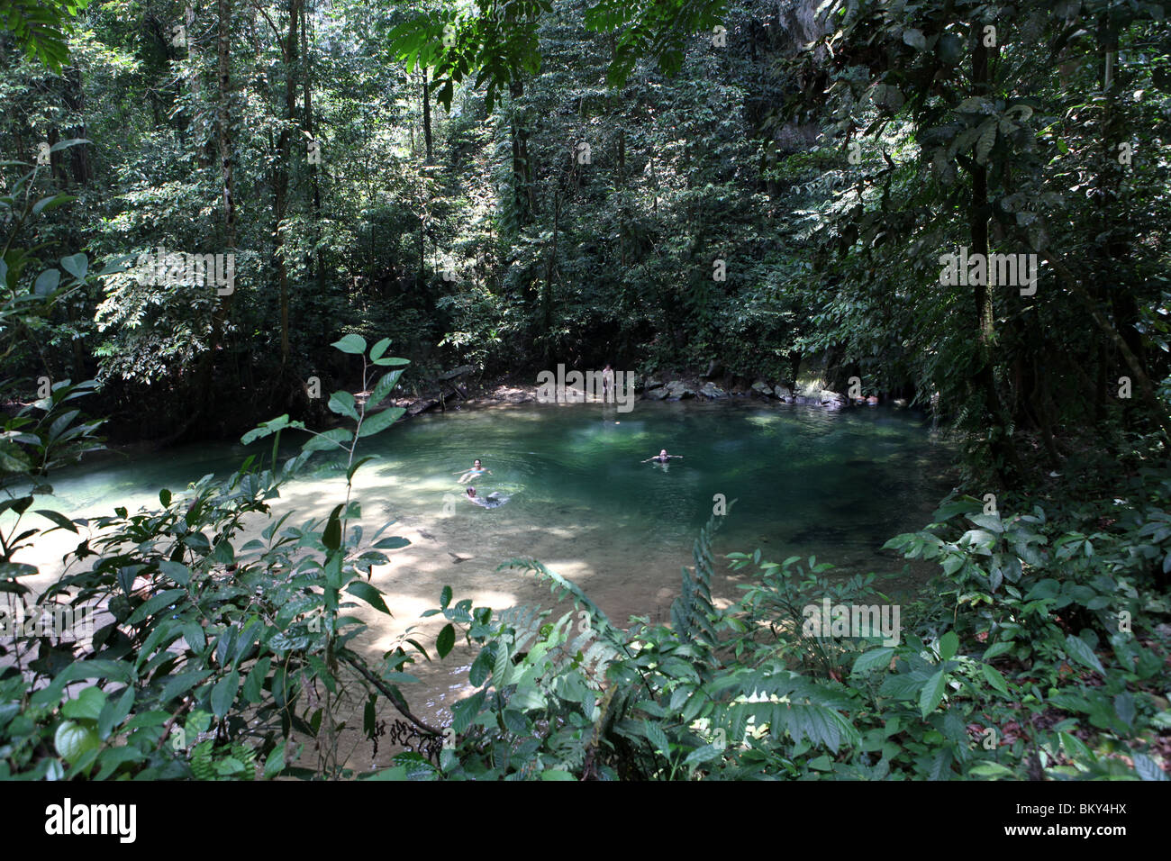 Ein Swimming-Loch am Eingang zum Clearwater Höhlen in Gunung Mulu National Parl in Malaysia Borneo. Stockfoto