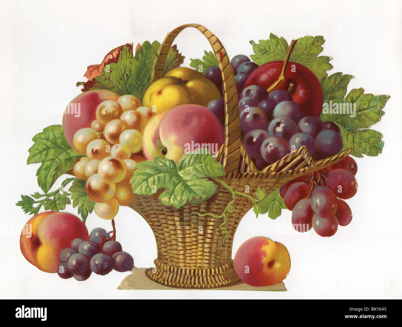 Obstkorb - Auswahl an Früchten in einem Weidenkorb Stockfoto