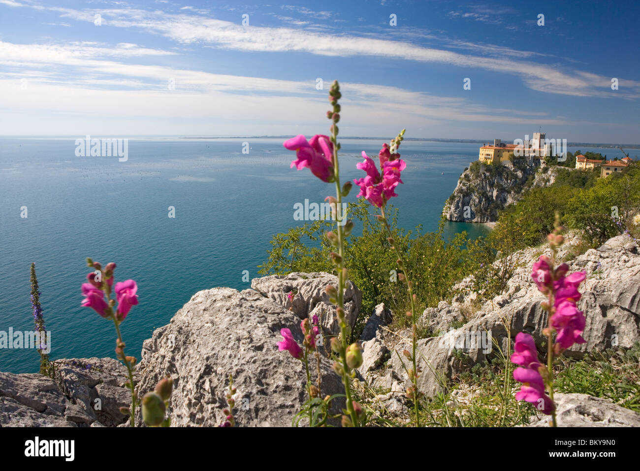 Schloss von Duino liegt nördlich von Triest, Friaul-Julisch Venetien, Oberitalien, Italien Stockfoto