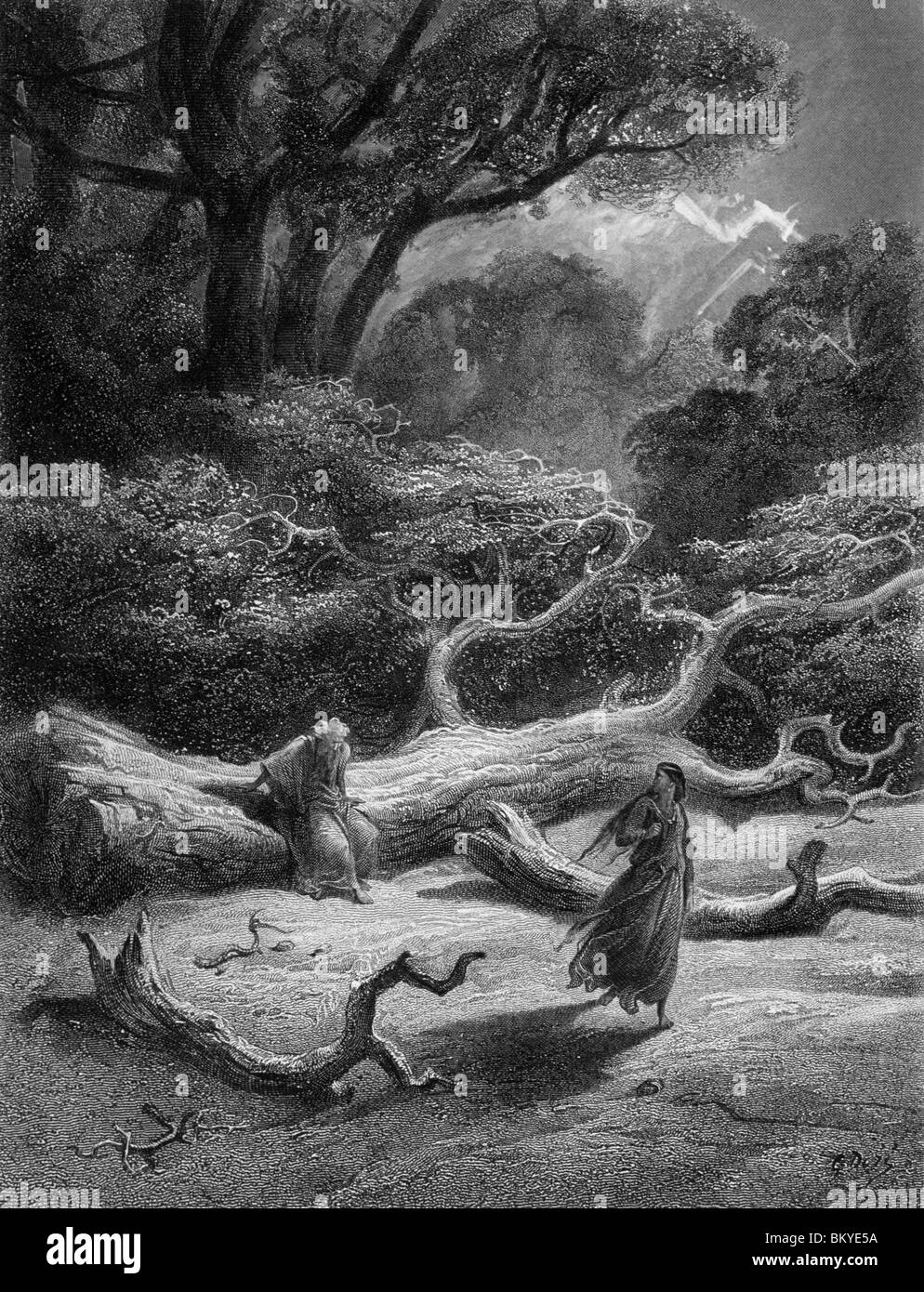 Vivien umschließt Merlin in Bäumen von Gustave Dore aus Idylls of King (1832-1883) USA Illinois Chicago Newberry Library Stockfoto