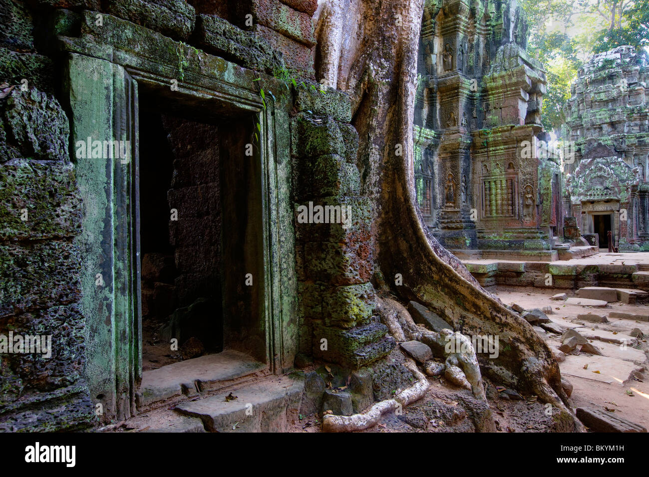 Eingang zu einem Stupa in Ta Prohm Tempel in der Nähe von Angkor Wat, Kambodscha Stockfoto