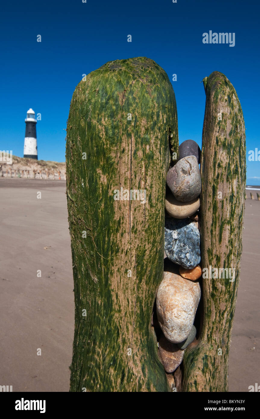 Steine in alten Meer Abwehr zu verschmähen Kopf Nature Reserve in der Nähe von Hull, North Yorkshire mit Point Lighthouse verschmähen gefangen. Das Meer ist die Rückgewinnung der Sand. Stockfoto