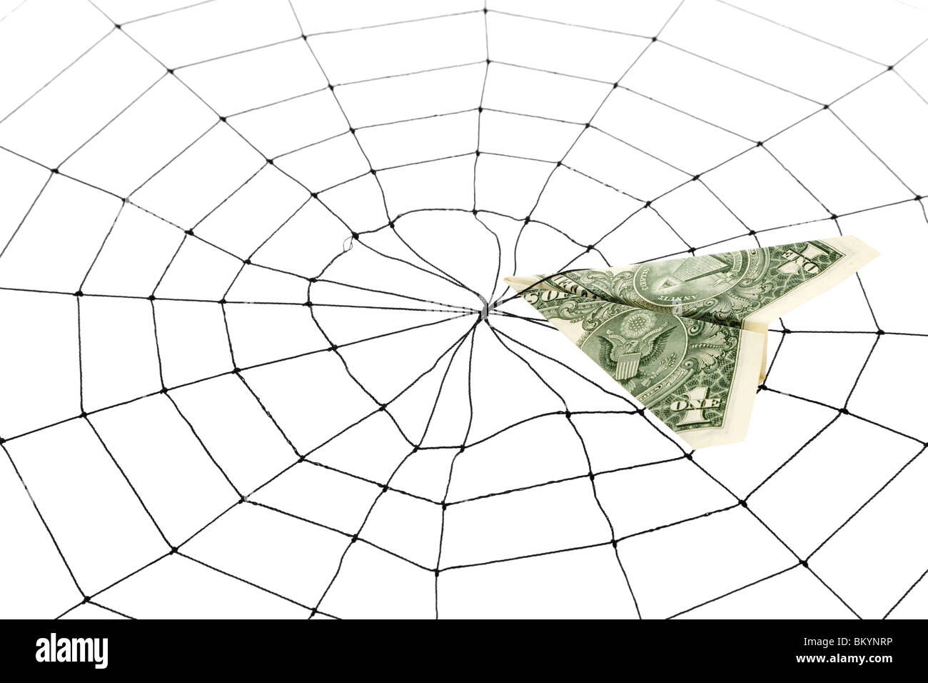 Spinnennetz und Dollar, Business-Konzept Stockfoto