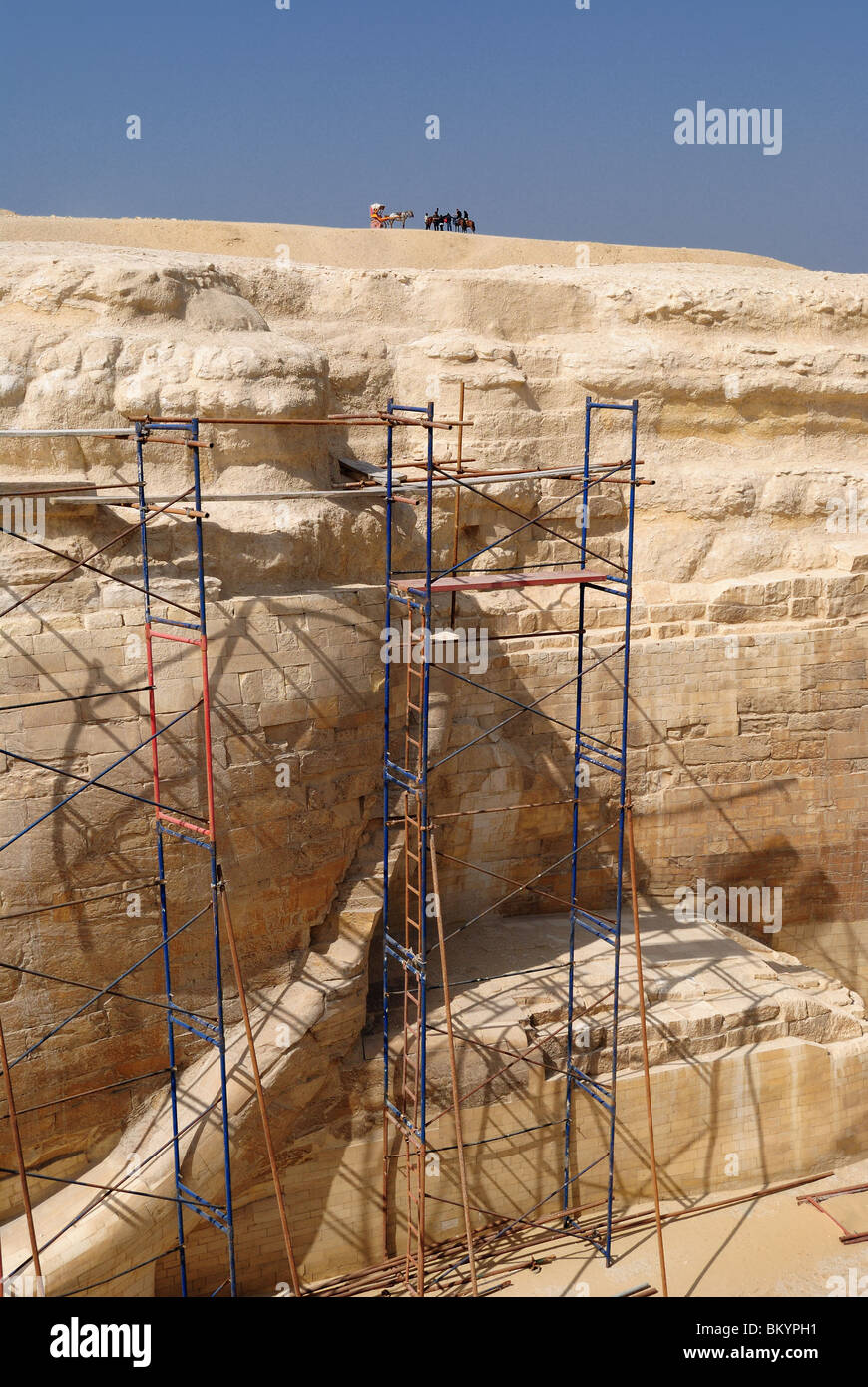 Detail der Sphinx, Giza, Ägypten Stockfoto