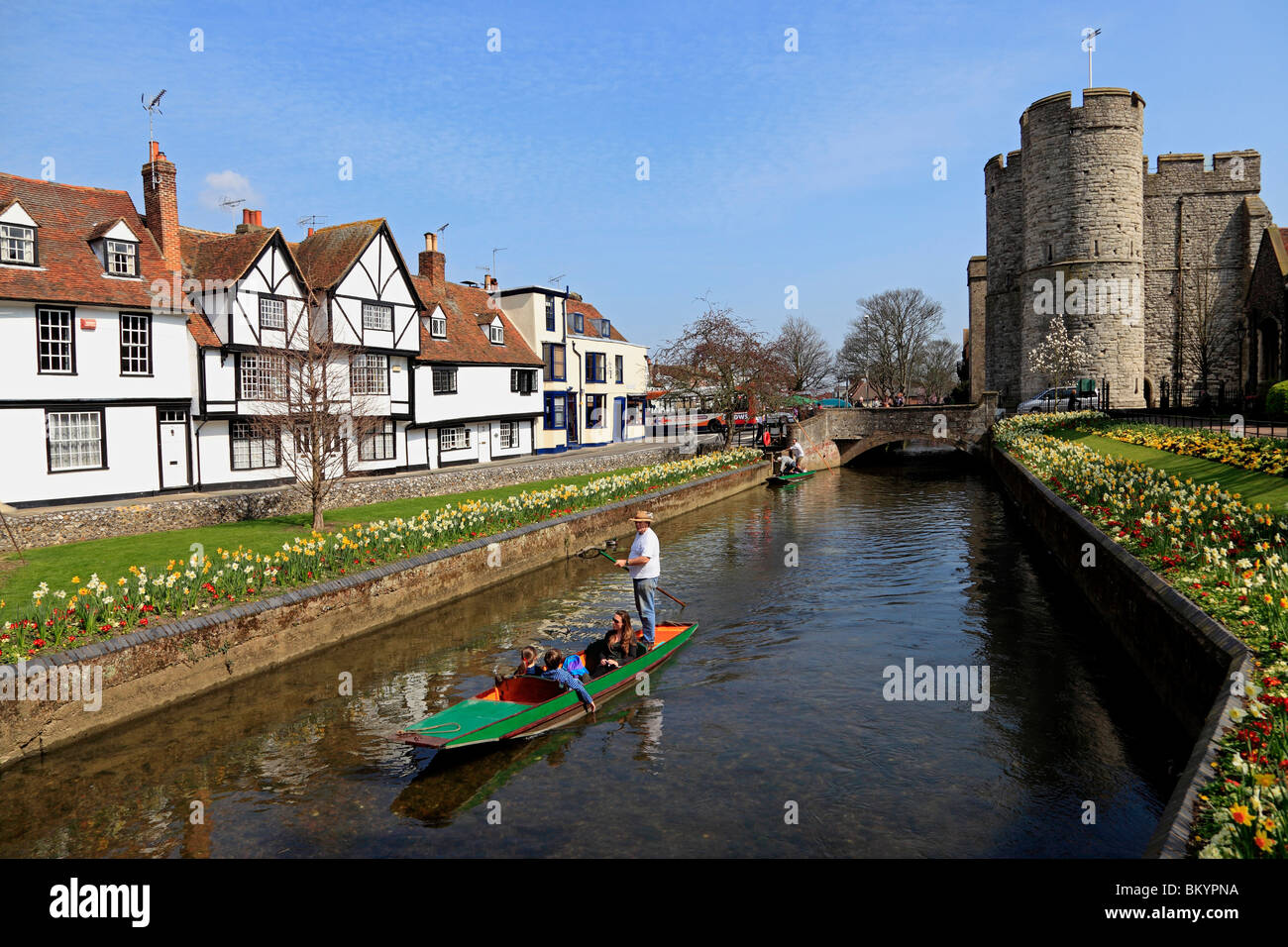 3098. Stechkahn fahren am Fluss Stour, Canterbury, Kent, UK Stockfoto