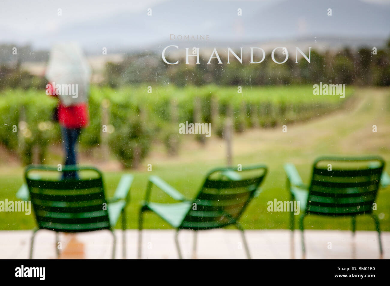 Weingut Domaine Chandon mit grünen Stühlen auf regnerischen Terrasse, Frau mit Regenschirm, mit Blick auf Reben, Büschen, Bäumen und Hügeln. Stockfoto