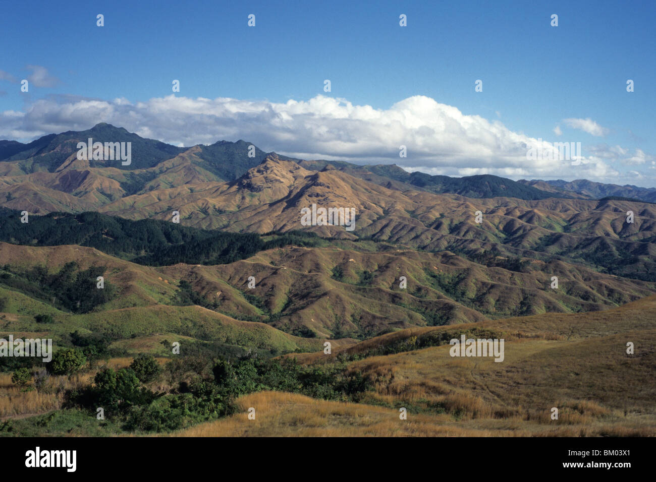 Nausori-Hochland, Viti Levu, Fidschi Stockfoto