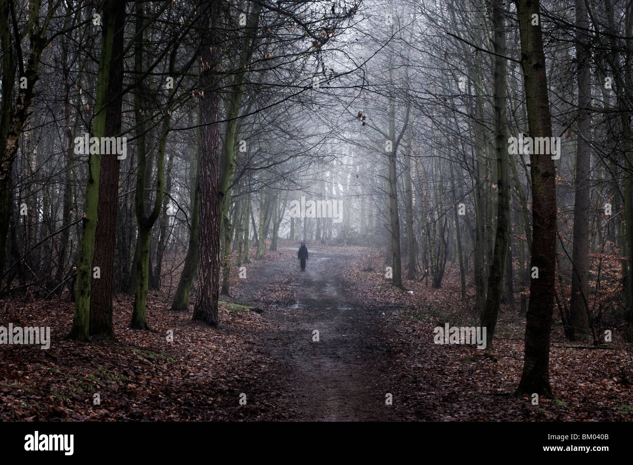 Abbildung eines jungen Menschen stehen auf einem Pfad im Wald im winter Stockfoto