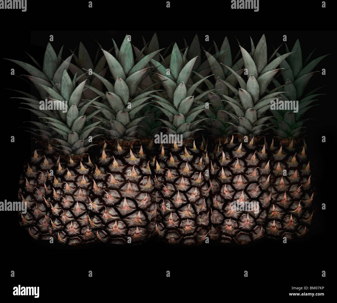 Eine Gruppe von Ananas Stockfoto