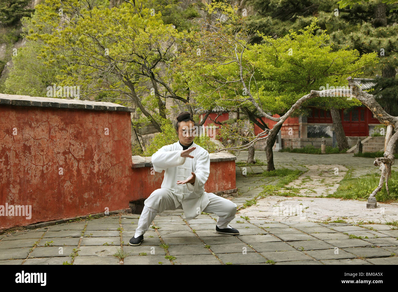 Taoistischen Mönch im Tai Chi darstellen, Tai Shan, Provinz Shandong, Taishan, Mount Tai, Welterbe, UNESCO, China, Asien Stockfoto