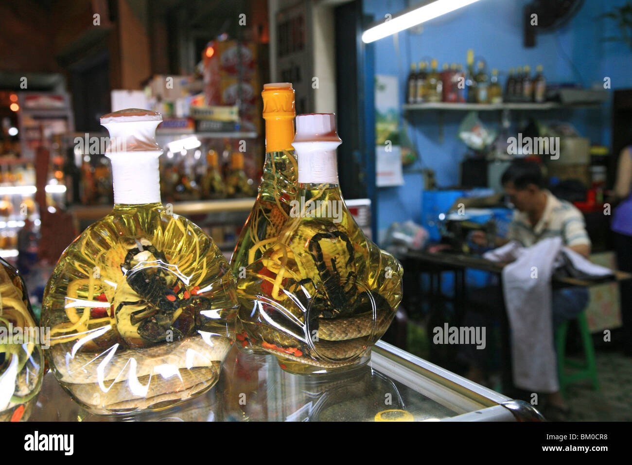 Snake Wein, Skorpion und Schlange in Flaschen in einer Apotheke in Saigon, Ho Chi Minh, Saigon, Vietnam, Vietnam, Asien Stockfoto