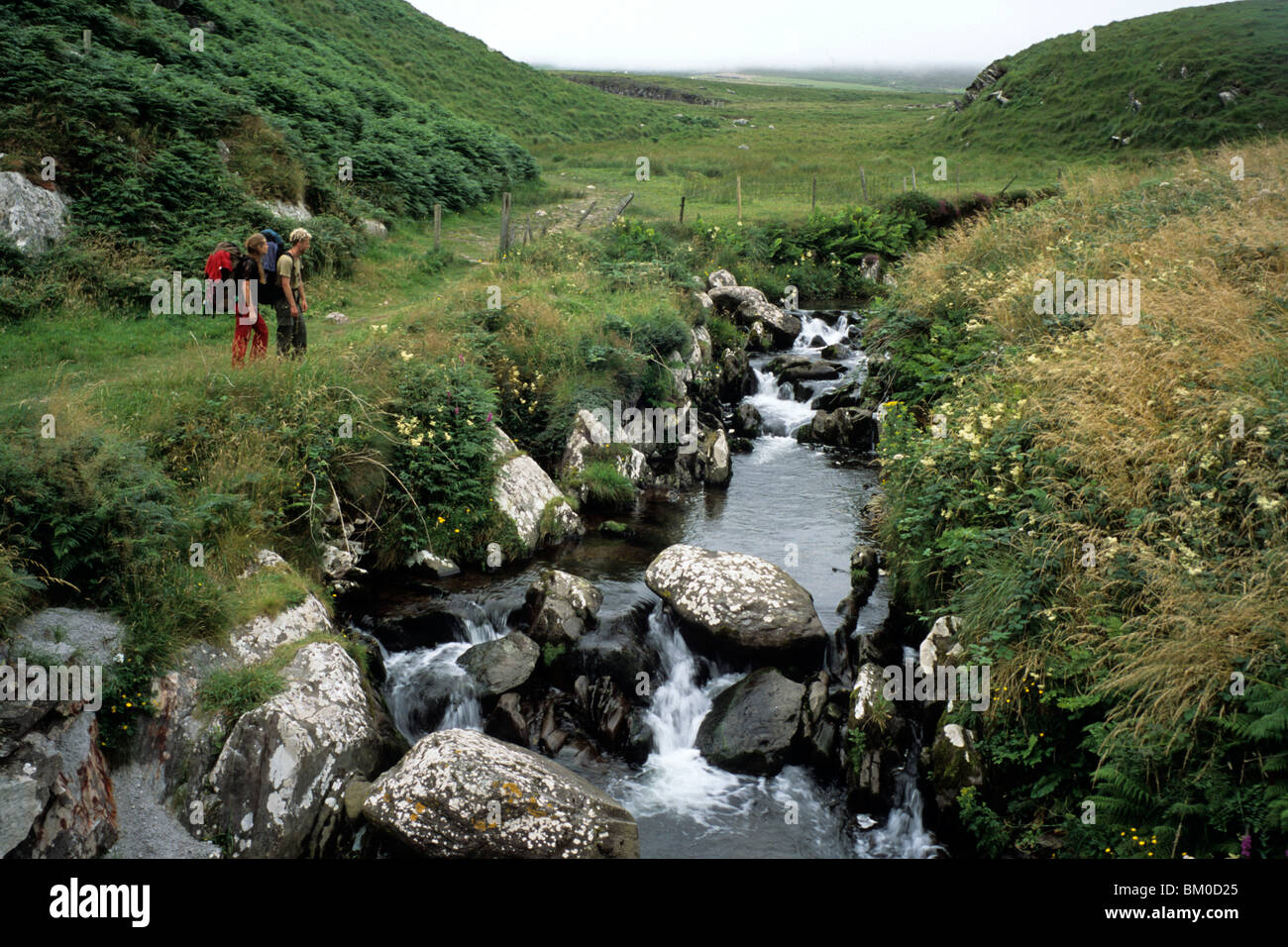 Wanderer bei Brandon Creek, Dingle-Halbinsel, in der Nähe von Brandon, County Kerry, Irland Stockfoto