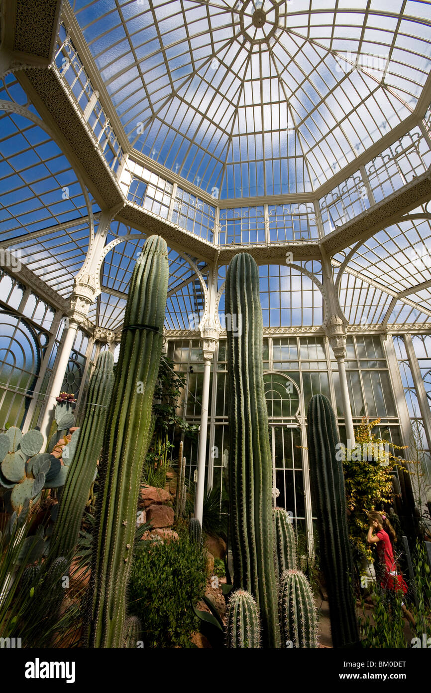 Zoologisch botanischen Fotos und Bildmaterial in hoher Auflösung Alamy
