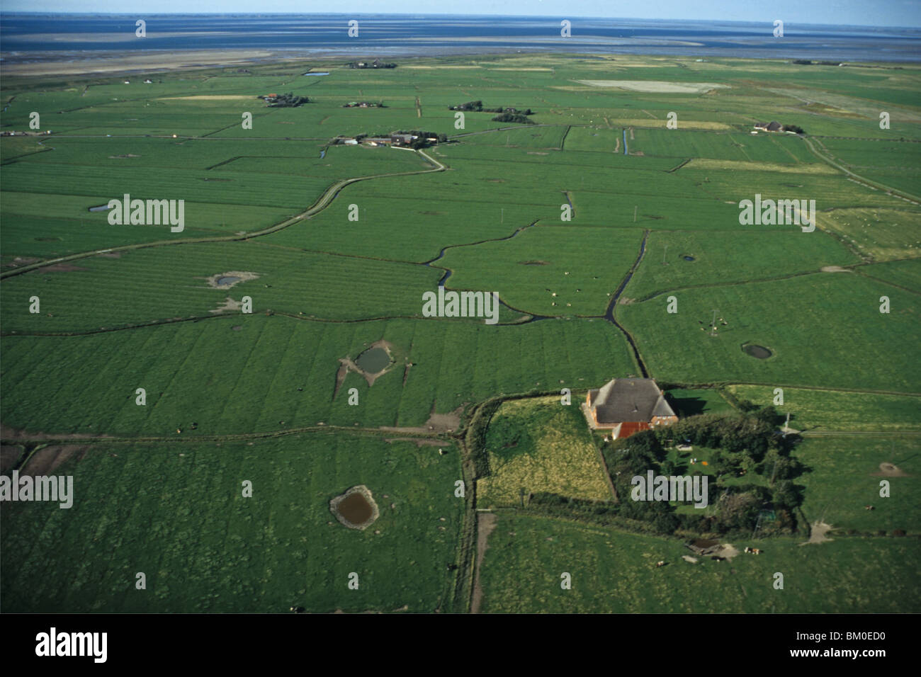 Luftbild des Haubarg Bauernhaus auf Marschland, Nordfriesland, Schleswig Holstein, Nordsee, Nordfriesland, Norddeutschland Stockfoto