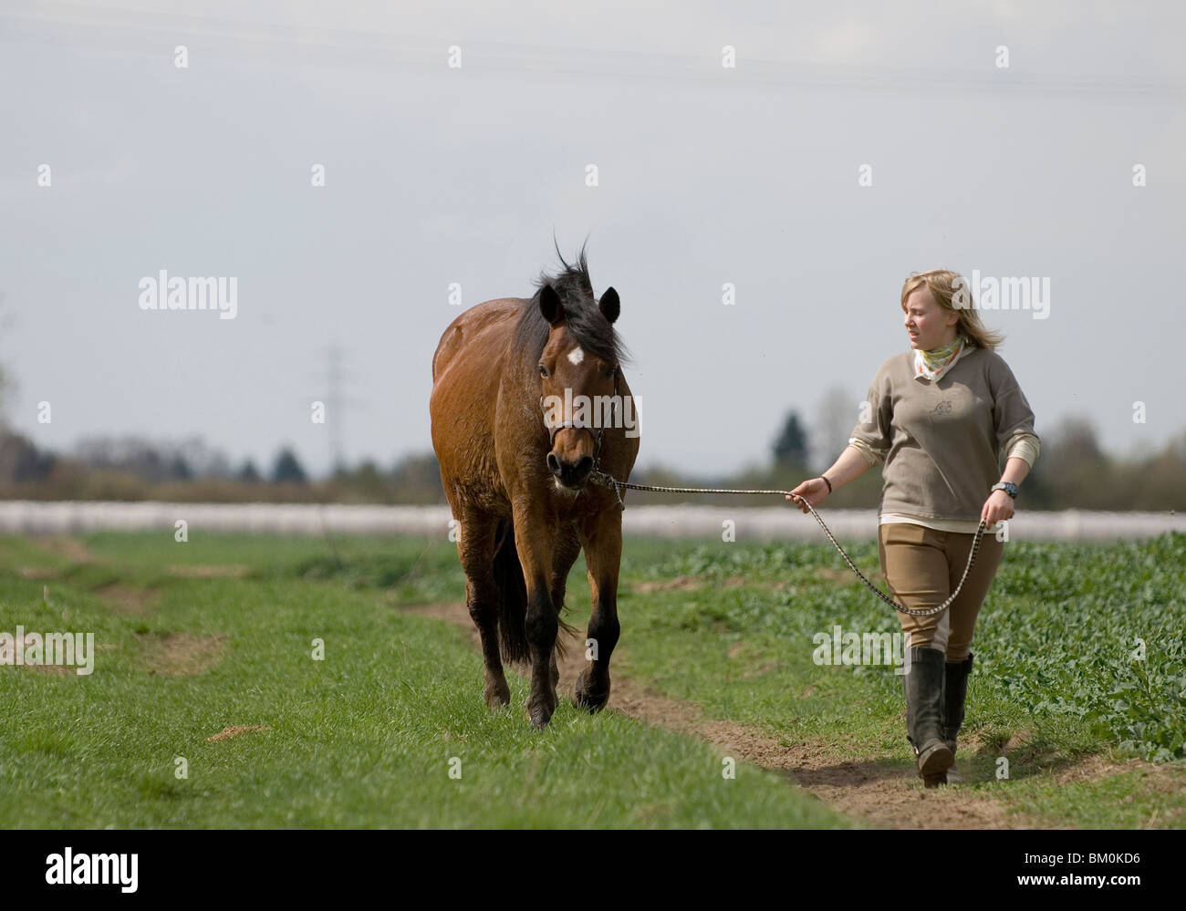 Frau und pony Stockfoto