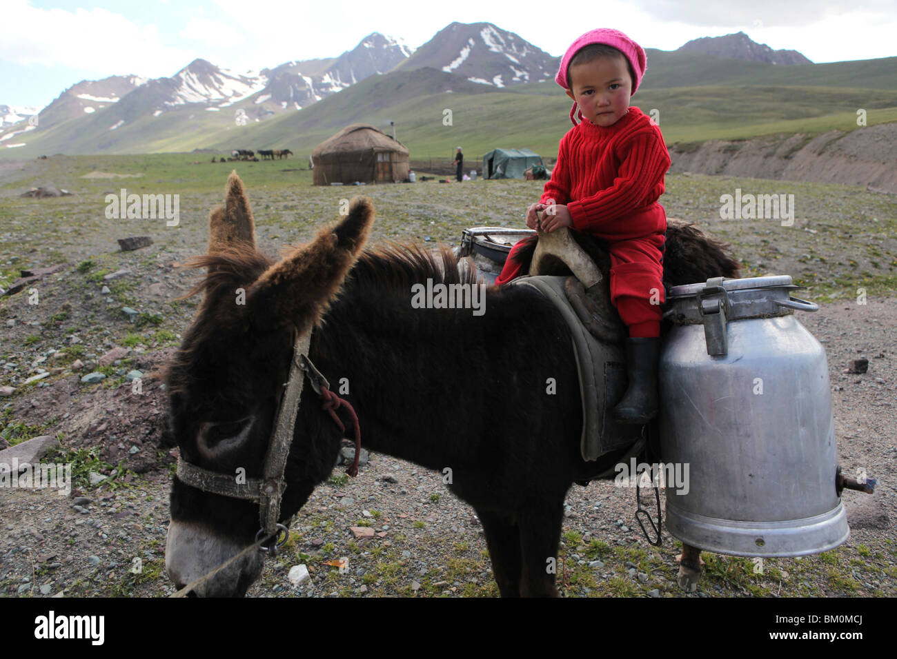 Ein kleiner Junge sammeln Milch auf einem Esel im Hochland von Kirgisien, Zentralasien. Stockfoto