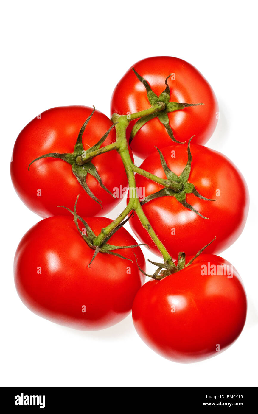 Tomaten auf einem reinen weißen Hintergrund isoliert Stockfoto