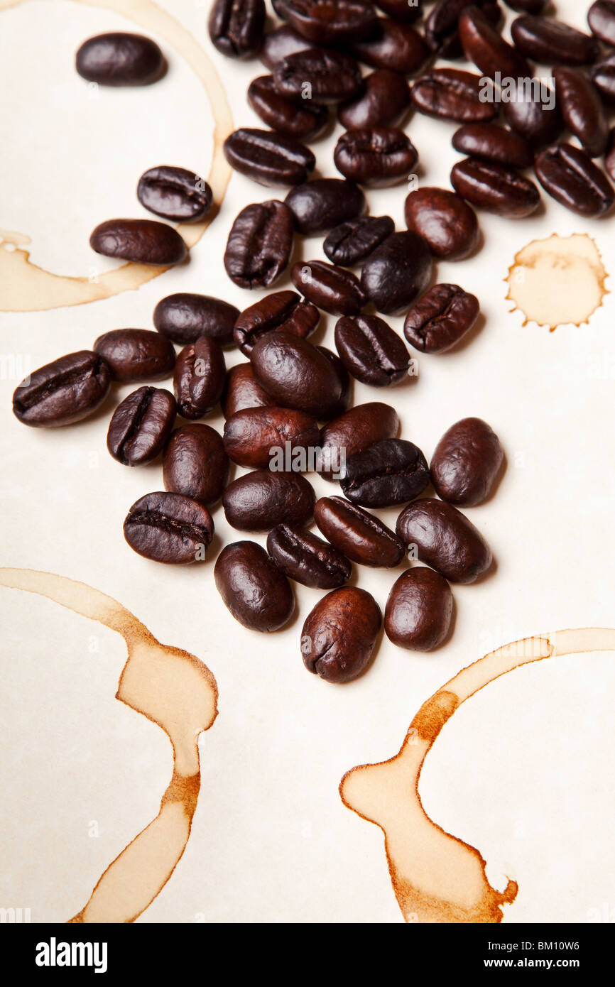 Kaffeebohnen auf einem Pergament-Papier-Hintergrund Stockfoto