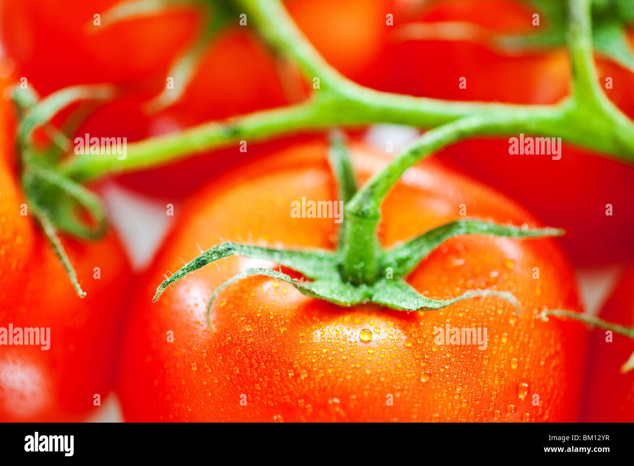 rote Tomate mit Wassertropfen Makro Hintergrund Stockfoto