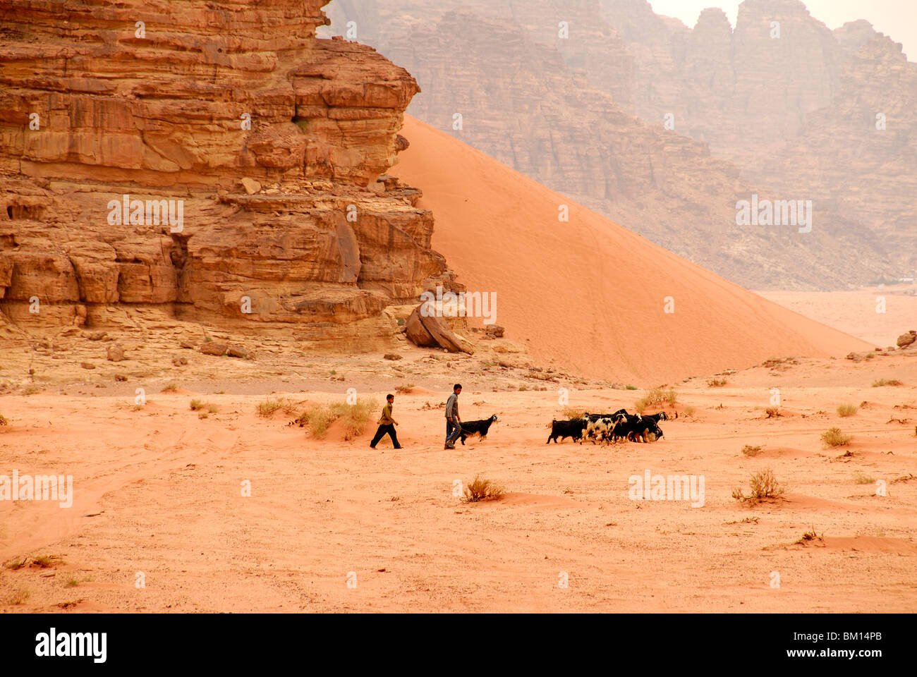 Beduinen Ziege Herder, Wadi Rum, Jordanien, Asien, Naher Osten Stockfoto