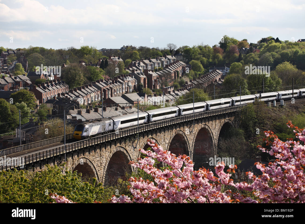Ein high-Speed-Diesel-Zug der Ostküste Gesellschaft gesehen über das Viadukt in Durham, England, UK Stockfoto