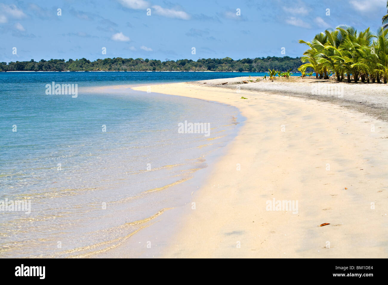 Strand von Boca Del Drago, Doppelpunkt-Insel (Isla Colon), Bocas del Toro Provinz, Panama, Mittelamerika Stockfoto