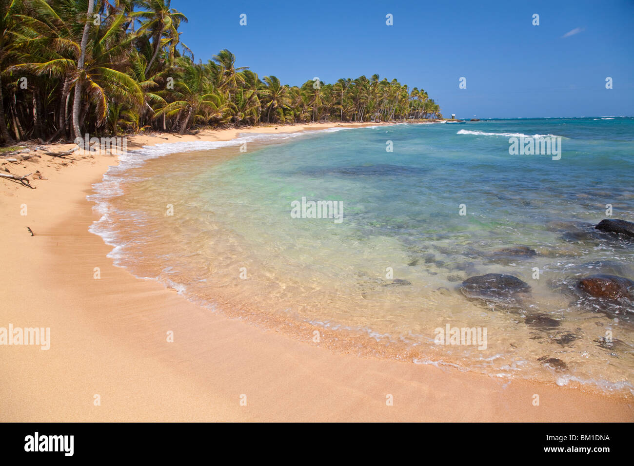 Strand in der Nähe von Garret Punkt, Little Corn Island, Corn Islands, Nicaragua, Mittelamerika Stockfoto