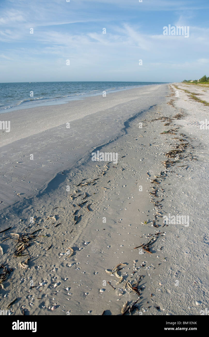 Beach, Sanibel Island, Golfküste, Florida, Vereinigte Staaten von Amerika, Nordamerika Stockfoto