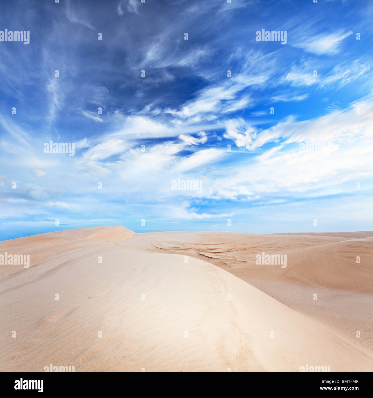 Sandy Wüste Stockfoto
