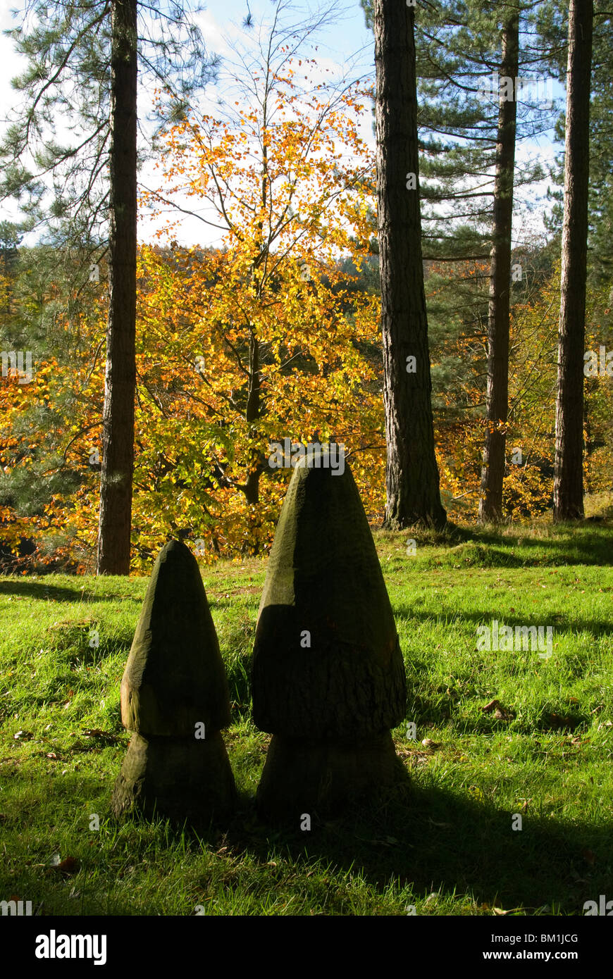 Skulpturen aus Holz Pilze in der Nähe von Fairholme Besucher Zentrum, Ladybower Vorratsbehälter, Peak District in Derbyshire, England, UK Stockfoto