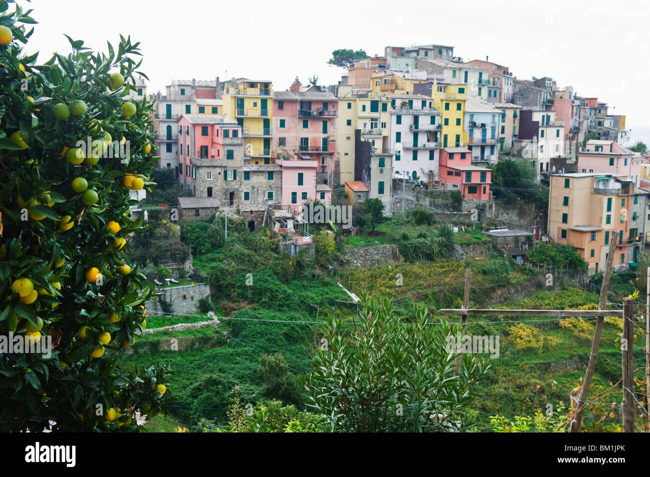 Pastellfarben Häuser, Dorf Corniglia, Cinque Terre, Weltkulturerbe, Ligurien, Italien, Europa Stockfoto