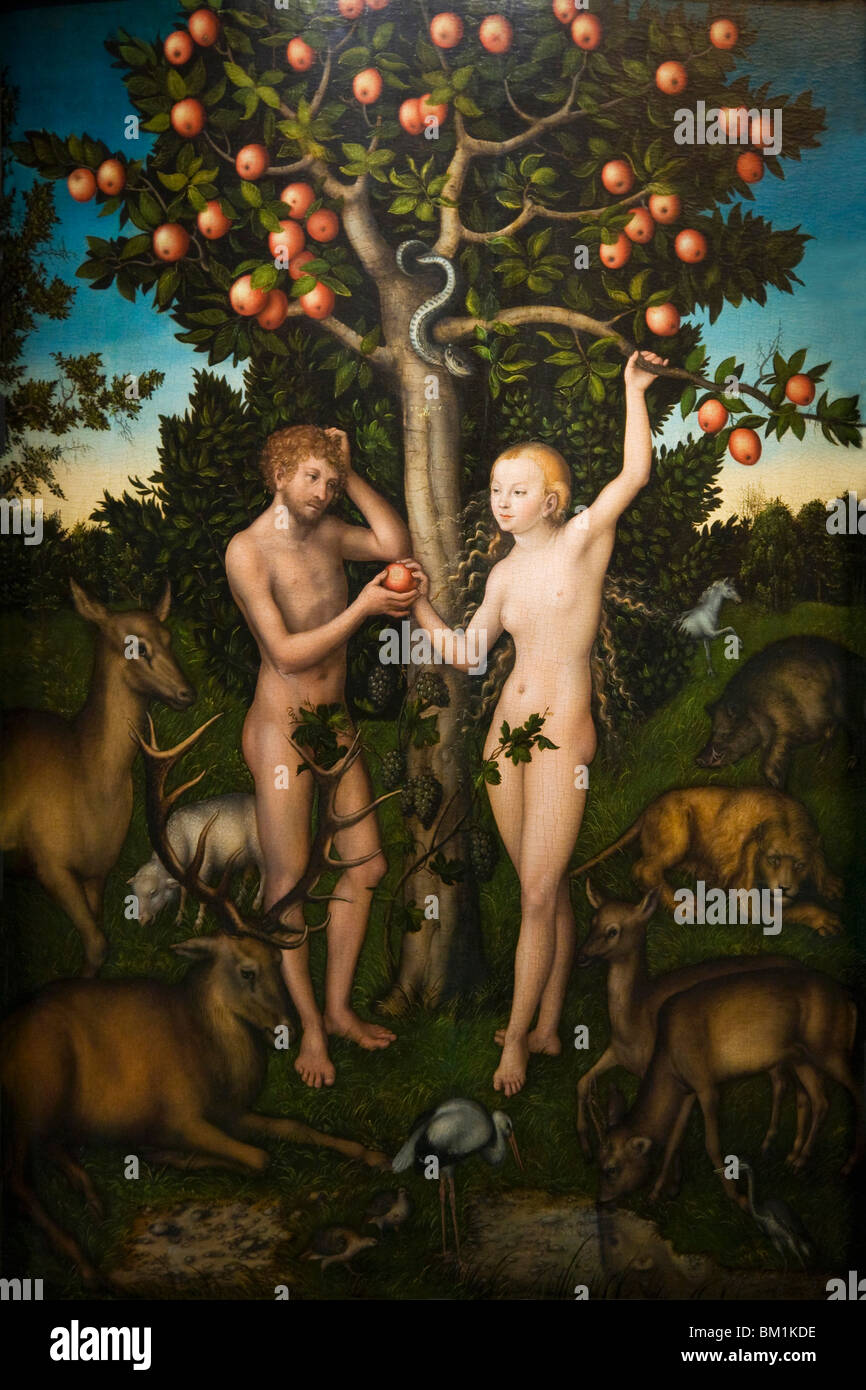 Adam und Eva von Lucas Cranach der ältere 1526 Courtauld Institute Gallery Innenraum Somerset House in London England Stockfoto