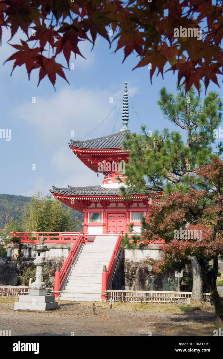 Herbstfärbung bei Daikaku-Ji (Daikakuji)-Tempel, aus 876, Sagano Bereich, Kyoto, Japan, Asien Stockfoto