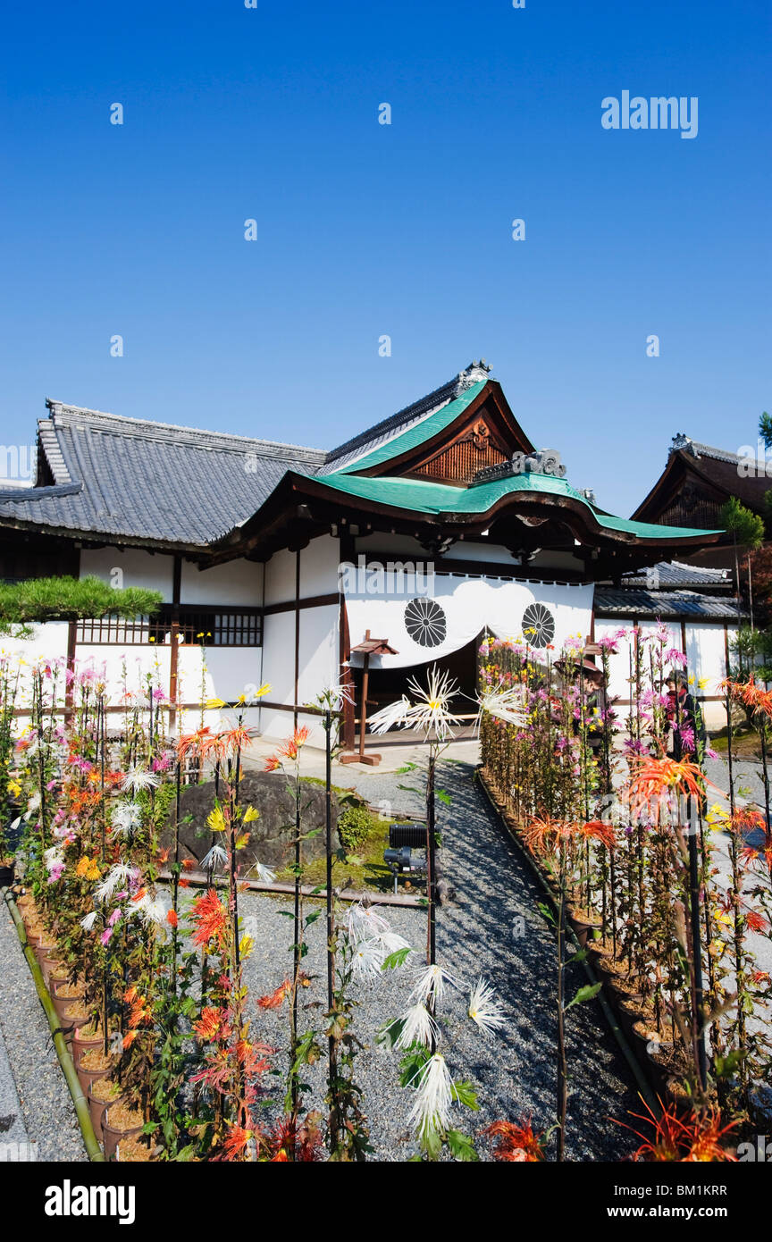 Ikebana-Blumen-Arrangement, Tempel Daikaku-Ji (Daikakuji), aus dem 876, Sagano Bereich, Kyoto, Japan, Asien Stockfoto